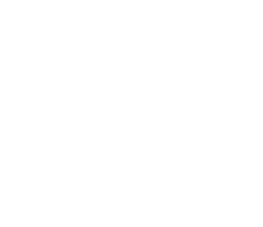 Somali Engineers Association